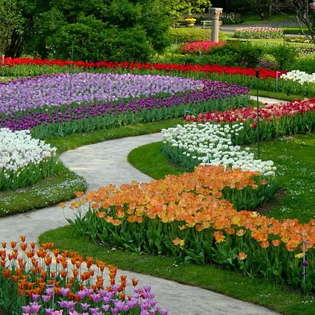 Апартаменты La Petite Dame - Maggiore - 100 M From The Вербания