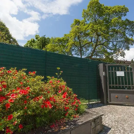 La Petite Dame - Maggiore - 100 M From The Apartman *