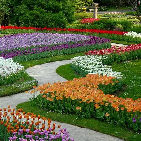 La Petite Dame - Maggiore - 100 M From The Apartment *