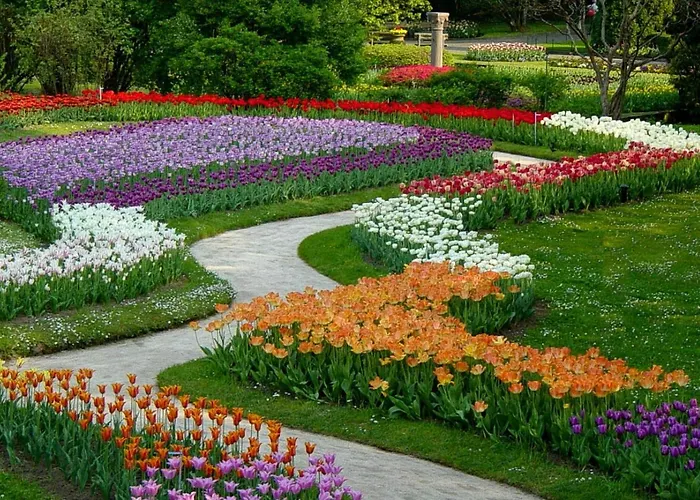 La Petite Dame - Maggiore - 100 M From The Apartment *